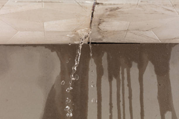Professional Flood Damage Cleanup technician working in Lewiston, MN